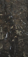 Керамогранит Amarula Pol Rect 60х120 р149662 APE Ceramica полированный универсальный MPL-030955