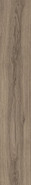Керамогранит Eternity Natural  20x120 Ocean ceramic India матовый универсальная плитка OC0000201