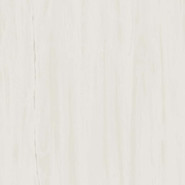 Керамогранит Marvel Bianco Dolomite 60x60 Lappato