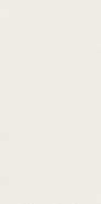 Настенная плитка Feelings Bianco Dekor Paradyz Ceramika 29.8x59.8 матовая керамическая 5902610517341