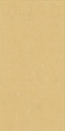 Настенная плитка Wide and Style Mini Ginger Ret 60x120 матовая керамическая