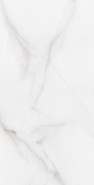 Керамогранит Feather Onyx 60x120 Arcadia Ceramica матовый универсальная плитка RT7012-A