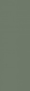 Настенная плитка Nightwish Green Paradyz Ceramika 25x75 матовая керамическая 5902610518065