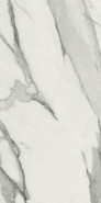 Керамогранит Statuary Venato Pol. Rect. 60x120 универсальный полированный