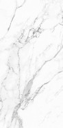 Керамогранит Statuario Infinity 60х120 NT Ceramic Bright And Shiny матовый универсальный NTT9125M