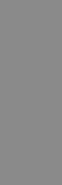 Керамогранит Aiza Grey Polished 80х240х15 Adicon Slab 2400 полированный универсальная плитка ADI84191