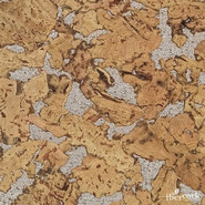 IberCork Кориа бланко 600x300 Пробковые настенные покрытия в пластинах EasyCork клеевое соединение