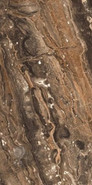 Керамогранит GR204 Richter brown Primavera 60x120 супер полированный (high glossy) универсальный