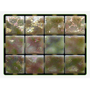 Мозаика Champagne 2.5x2.5 стекло 31.3х49.5