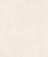 Керамогранит Newport Beige Nature 120x280 Matt (6мм) Zodiac Ceramica Italian матовый универсальная плитка MN135AY281206