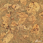 IberCork Авила Верде 600x300 Пробковые настенные покрытия в пластинах EasyCork клеевое соединение