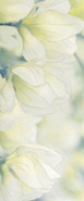Декор Rapsodia Olive Decor 01 керамический