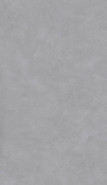 Керамогранит Grey Earth 120x280 Matt (6мм) Zodiac Ceramica Microcement матовый универсальная плитка MN243AY281206