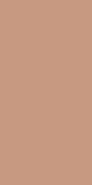 Керамогранит Terracotta Matt Rect 60x120 матовый