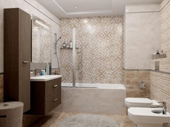 Polaris (Поларис)