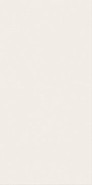 Настенная плитка White 40x80 matt (Уайт 40x80 матт) керамическая