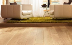 Baum Premium