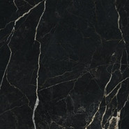 Керамогранит NG104 Монерон Glossy 60x60 Primavera глянцевый универсальная плитка 00000253982