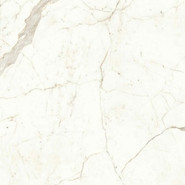 Керамогранит Marvel Calacatta Prestigio 120x120 Matt (A4Q5) матовый