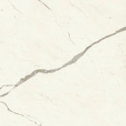 Керамогранит Marvel Calacatta Sublime 120x120 Silk Atlas Concorde Italy патинированный универсальный AFVK