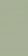 Настенная плитка Feelings Green Paradyz Ceramika 29.8x59.8 матовая керамическая 5902610517228