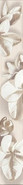 Бордюр Amati Plumeria Beige Azori 6.2х50.5 матовый керамический