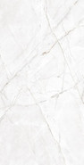 Керамогранит Valencia Silver Grey CR 60x120 Arcadia Ceramica полированный универсальный CR4007-A
