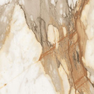 Керамогранит Borgini Gold Absolut Gres 60х60 полированный универсальный