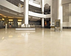 Моноколор (Monocolor)