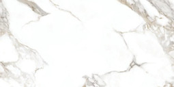Керамогранит AOZ5 OOOC Carrera White Silky Rectified Goldis Tile 59.7х119.8 сатинированный универсальный УТ000030767