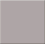 Керамогранит RW 03 60х60