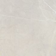 Керамогранит Bright And Shiny BB6NTT9101P Ntceramic 60х60 полированный универсальный