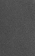 Настенная плитка Fiora Black 02 25х40 Unitile/Шахтинская плитка глянцевая керамическая 010101003574