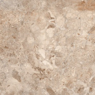 Керамогранит E110082160G/ P110082160G Rainbol Brown Azario 60x60 глянцевый универсальный