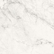 Керамогранит AeCal6120Rm 120х120 La Faenza Monoceram матовый универсальный