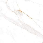 Керамогранит E104082160G/ P104082160G Afion gold Azario 60x60 глянцевый универсальный