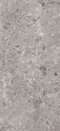 Керамогранит Artic Gris Pul.120x260 5,6 Grespania Ceramica S.A. полированный, универсальный 36471