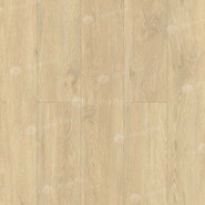 SPC ламинат Alpine Floor ЕСО 11-501 Камфора 34 класс 1220х183х3.5 мм (каменно-полимерный)
