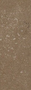 Керамогранит Buxy Noisette 300x100x0,35