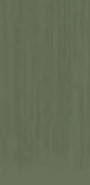 Керамогранит TC Light Green Mat Asia Pacific 60х120 матовый универсальный