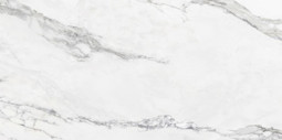 Керамогранит Insignia White Pulido Colorker 60x120 шлифованный универсальный