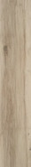 Керамогранит Blaze Natural Matt Rect 22.7x119.5 STN Ceramica Stylnul матовый напольный N30033