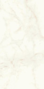 Керамогранит Marvel Calacatta Delicato 60x120 Matt универсальный матовый