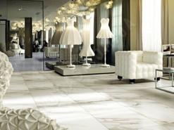 EvolutionMarble