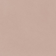 Керамогранит Pink Minimal Ergon 60x60 матовый универсальный EH6Y