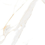 Керамогранит Regal Carrara Maimoon 60x60 полированный универсальный