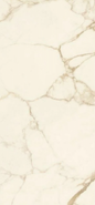 Керамогранит SLC.DL.CLOD.LG 2600х1200х6 Arch Skin Stone Calacatta полированный универсальный