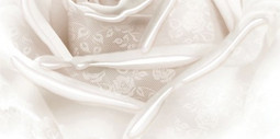 Декор Нежность Бежевый В 25х50 Belleza глянцевый керамический 04-01-1-10-05-11-350-2