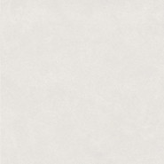 Керамогранит Evolve White 60x60 Golden Silk лаппатированный (полуполированный) универсальная плитка