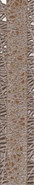 Бордюр Камлот Мокка Крэш Azori 5x27.8 глянцевый керамический